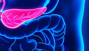 Read more about the article Pancreatic Cancer: Symptoms, Causes, and Treatment Cost in Delhi